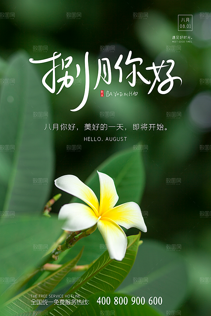 8月你好秋天秋季月份秋日签打卡励志海报