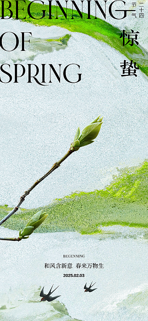 立春节气简约大气海报
