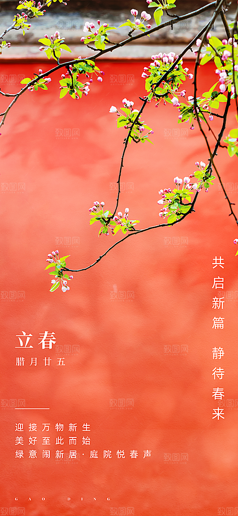 中国传统24节气立春简约手机海报