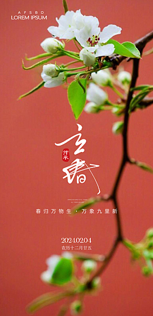 中国传统节气立春红色手机海报