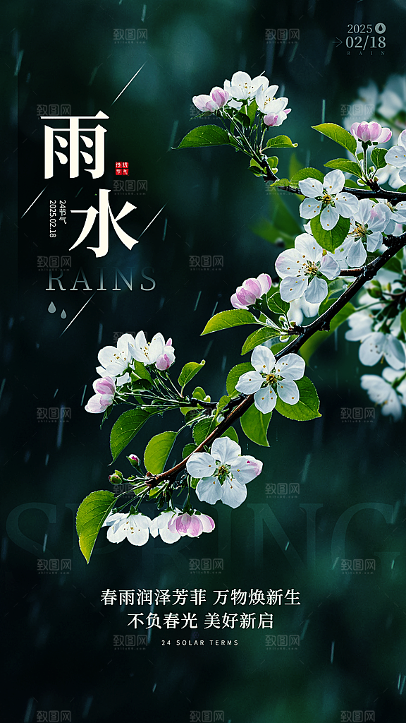 简约大气雨水节气海报