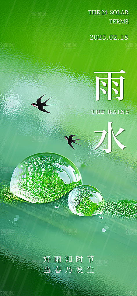 简约大气雨水节气海报