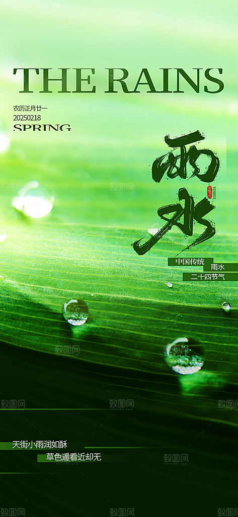 中国传统二十四节气雨水手机海报
