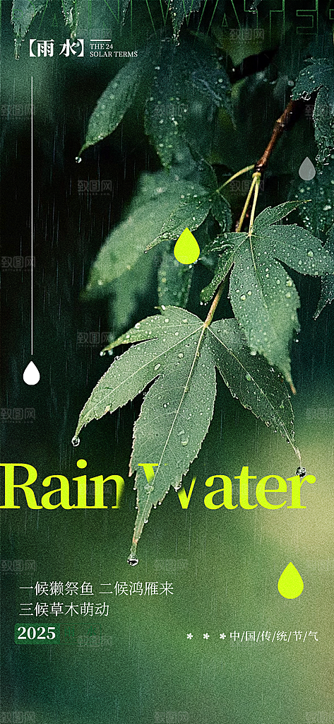 雨水二十四节气简约手机海报