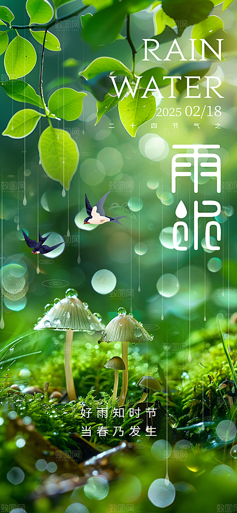 雨水节气简约大气海报