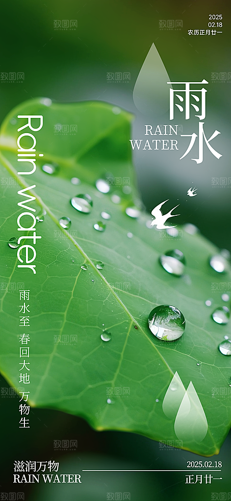 传统节气雨水海报模板