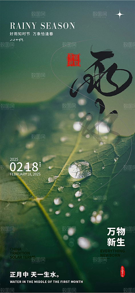 雨水节气简约大气海报