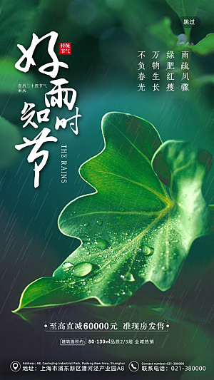传统节气雨水海报模板