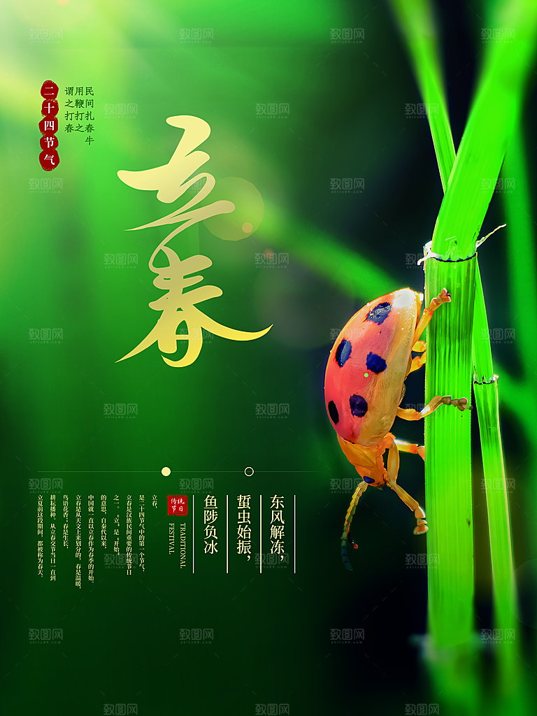 立春节气简约大气海报