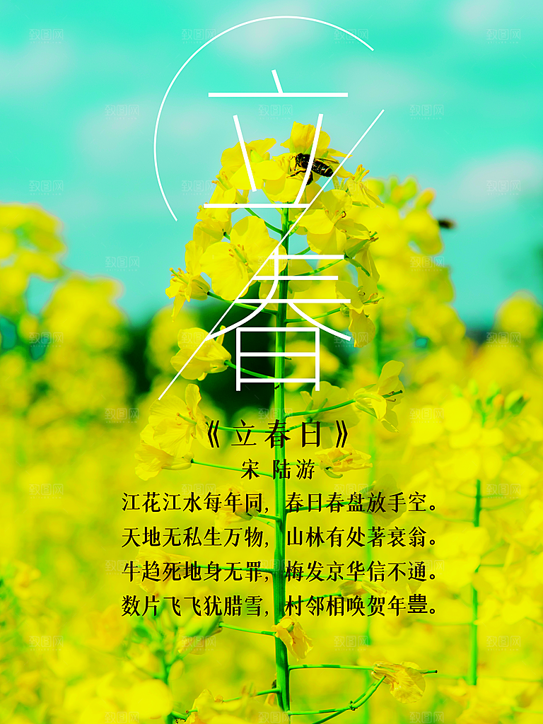 立春节气简约大气海报