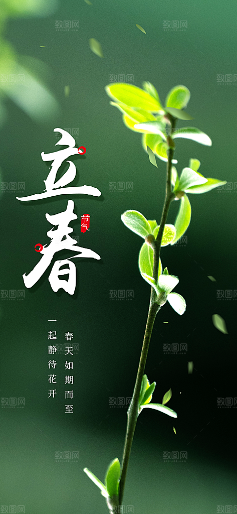 立春节气传统海报