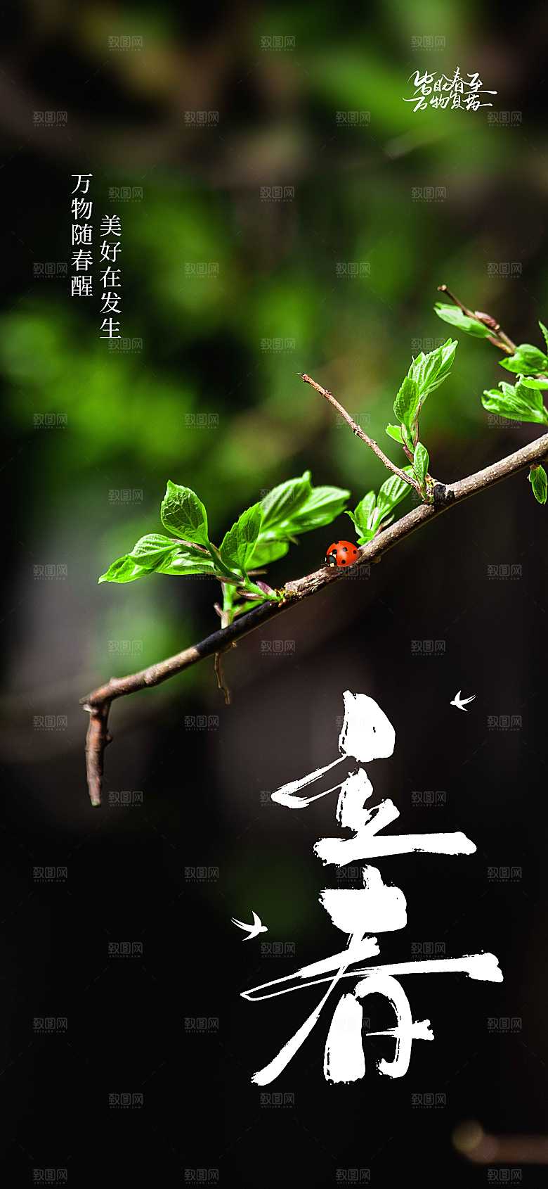 立春节气传统海报