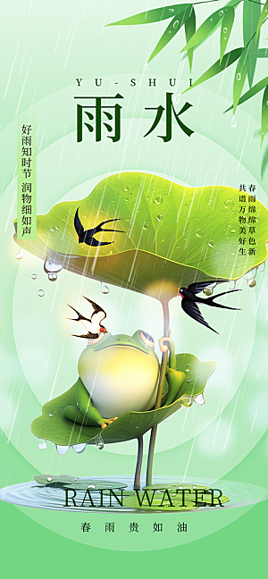 大气传统雨水二十四节气海报