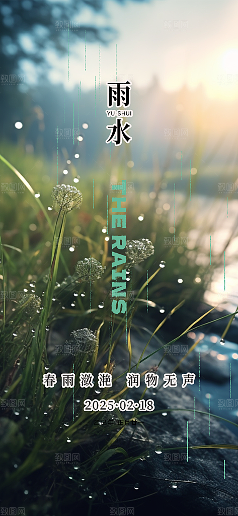 大气传统雨水二十四节气海报