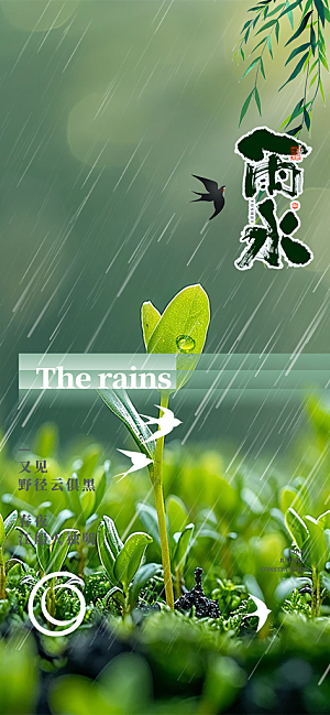 大气传统雨水二十四节气海报