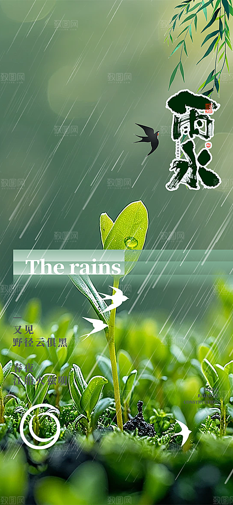 大气传统雨水二十四节气海报