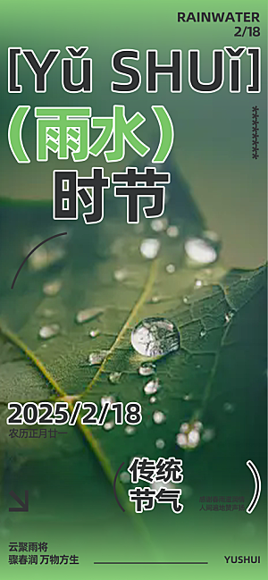 传统雨水二十四节气海报