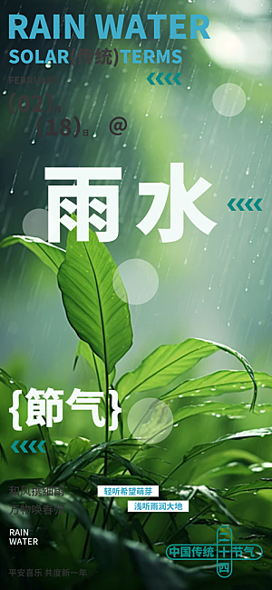 传统雨水二十四节气海报