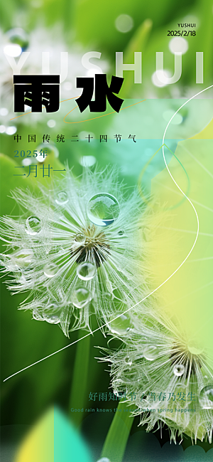 节气雨水二十四节气海报