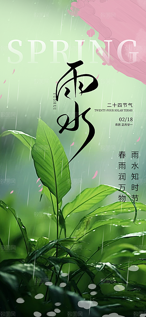 雨水二十四节气海报