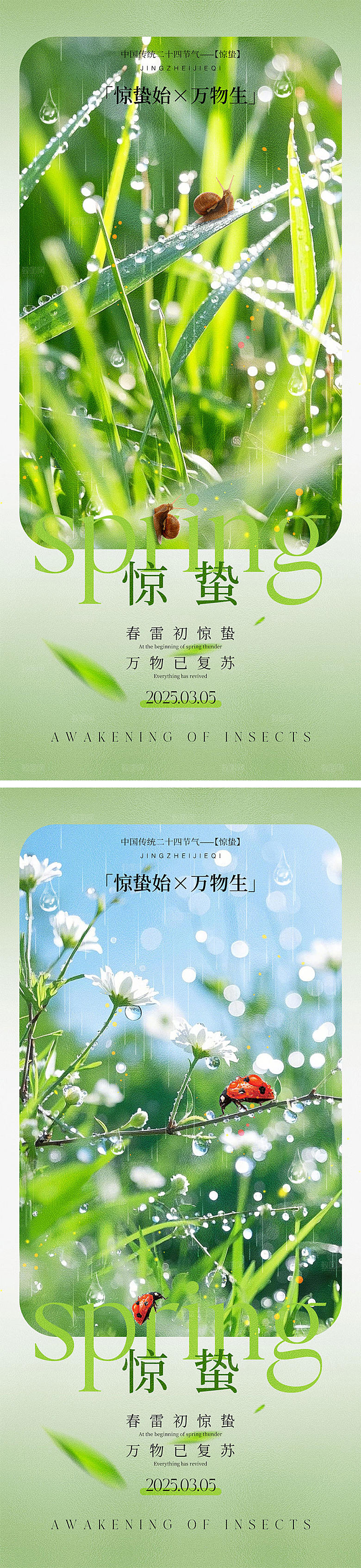 二十四节气惊蛰海报