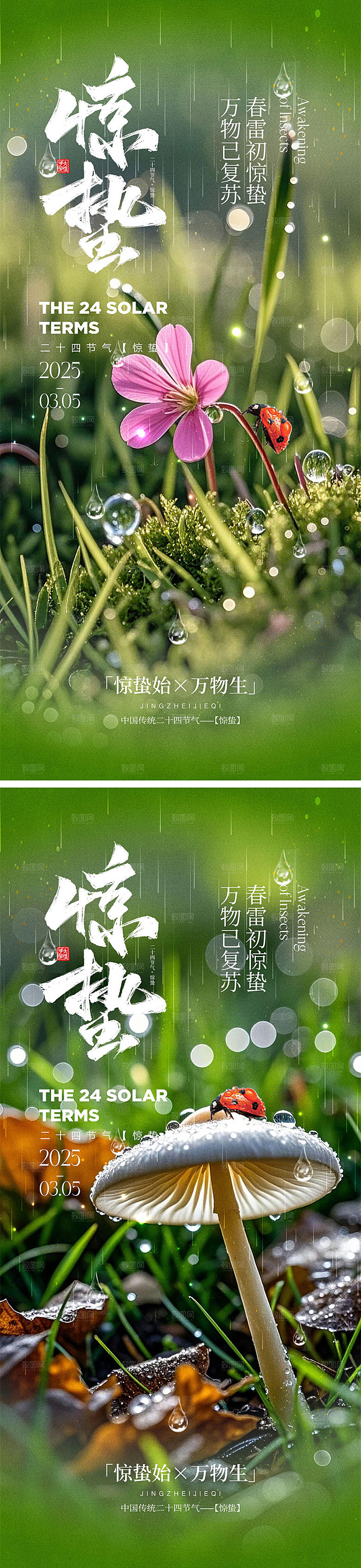 二十四节气惊蛰海报