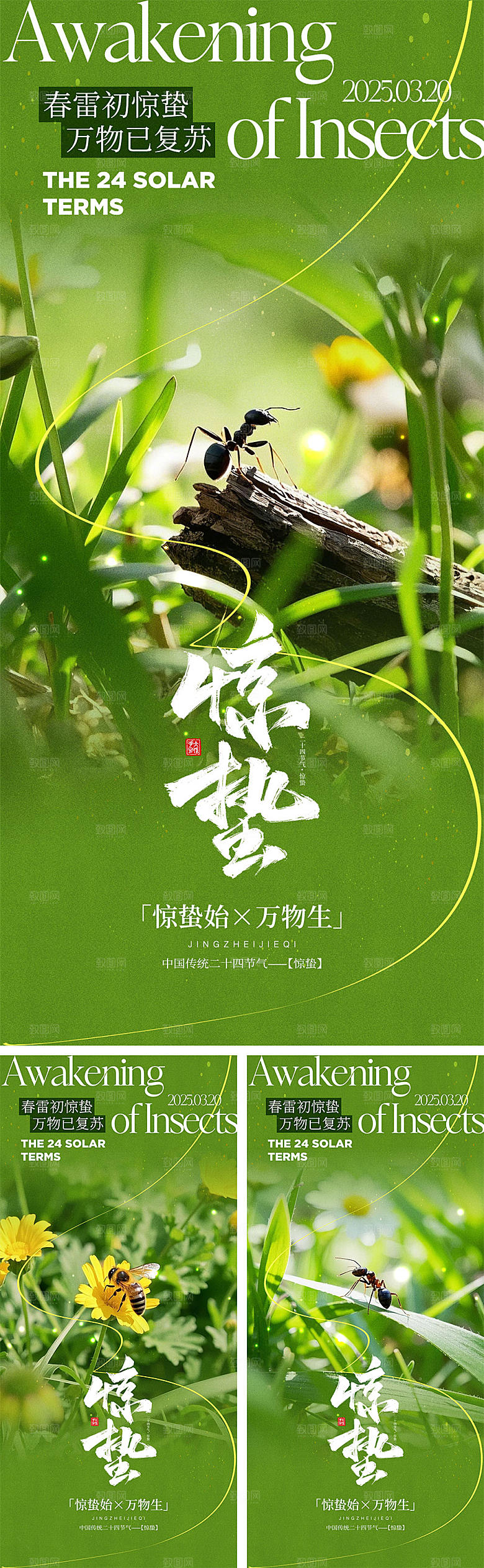 二十四节气惊蛰海报