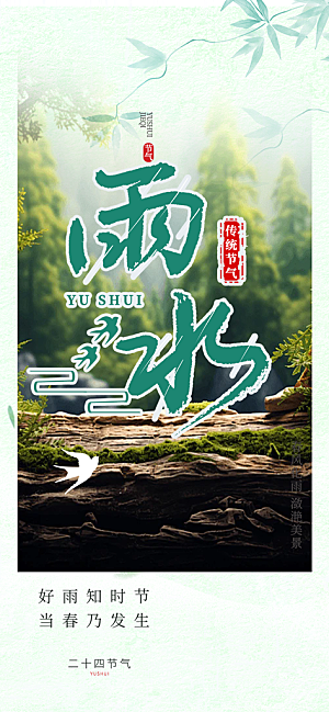 大气传统雨水二十四节气海报