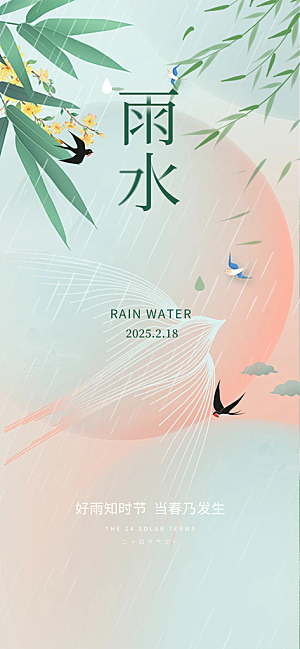 大气传统雨水二十四节气海报
