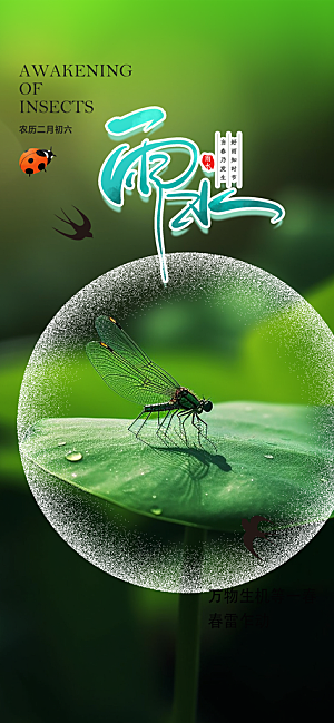 大气传统雨水二十四节气海报
