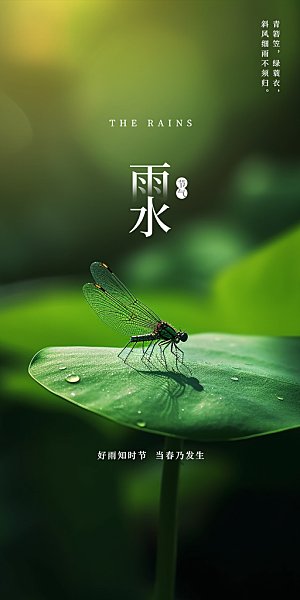 大气传统雨水二十四节气海报