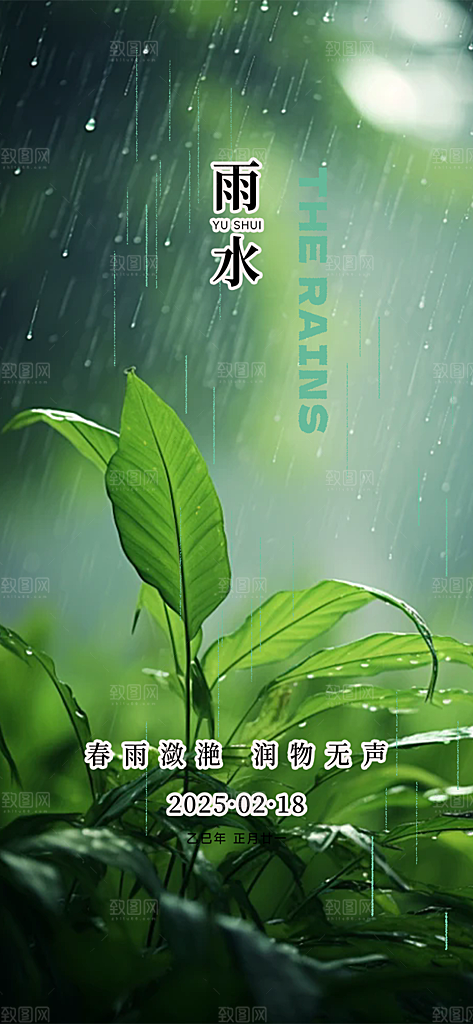 大气传统雨水二十四节气海报
