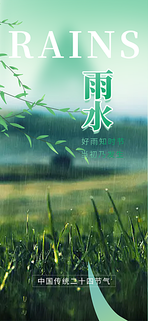 传统雨水二十四节气海报