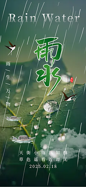 传统雨水二十四节气海报