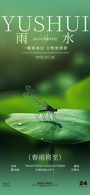 传统雨水二十四节气海报