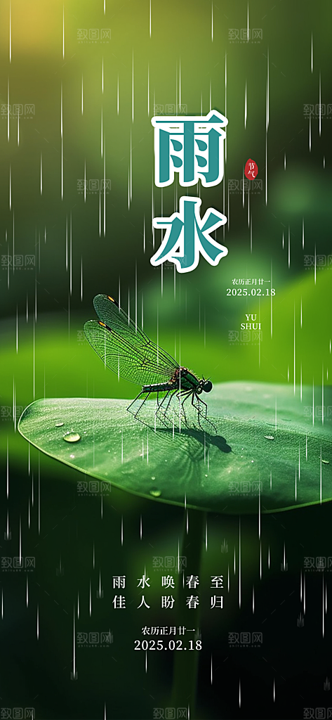 大气传统雨水二十四节气海报
