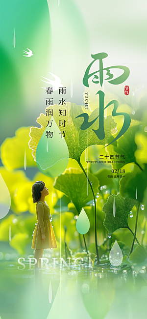 大气传统雨水二十四节气海报