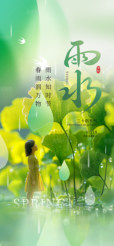 大气传统雨水二十四节气海报