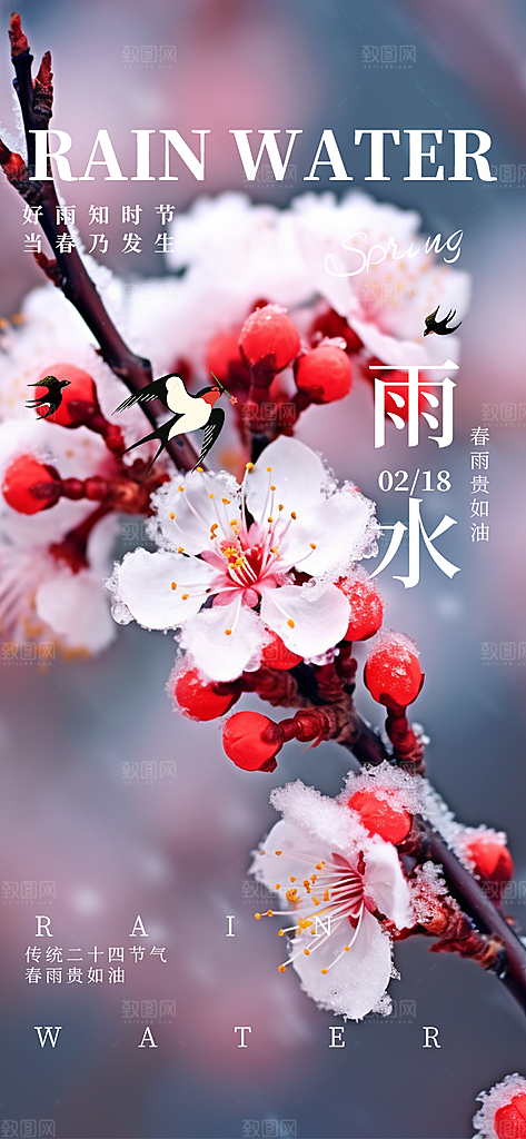 大气传统雨水二十四节气海报