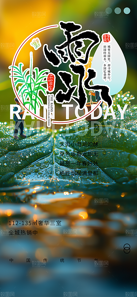 传统雨水二十四节气海报