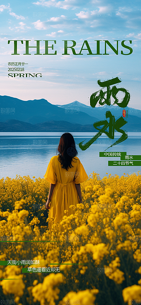 大气传统雨水二十四节气海报