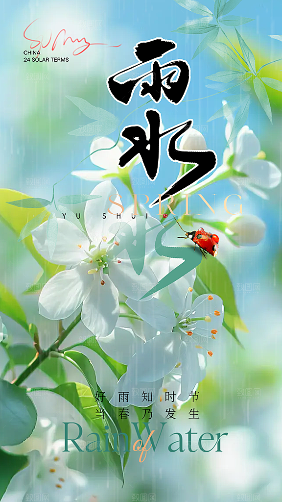 大气传统雨水二十四节气海报