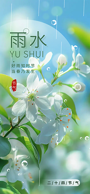 大气传统雨水二十四节气海报