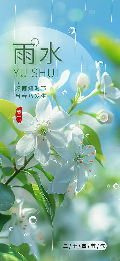 大气传统雨水二十四节气海报