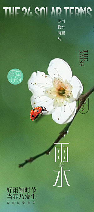 雨水二十四节气海报
