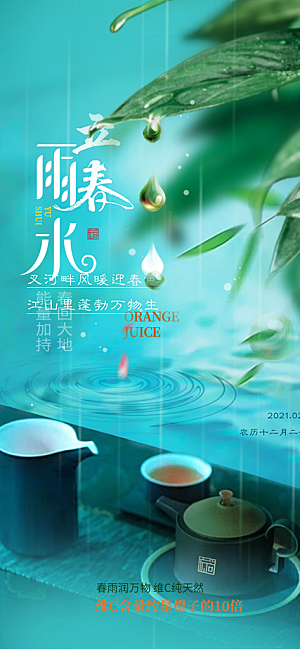 雨水二十四节气海报