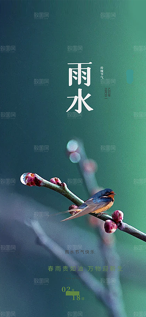 大气传统雨水二十四节气海报