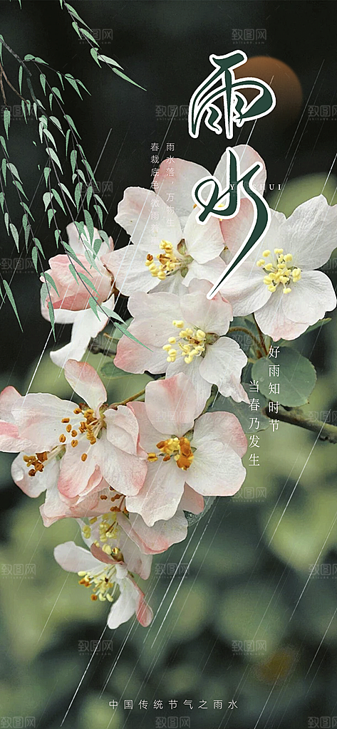 大气传统雨水二十四节气海报