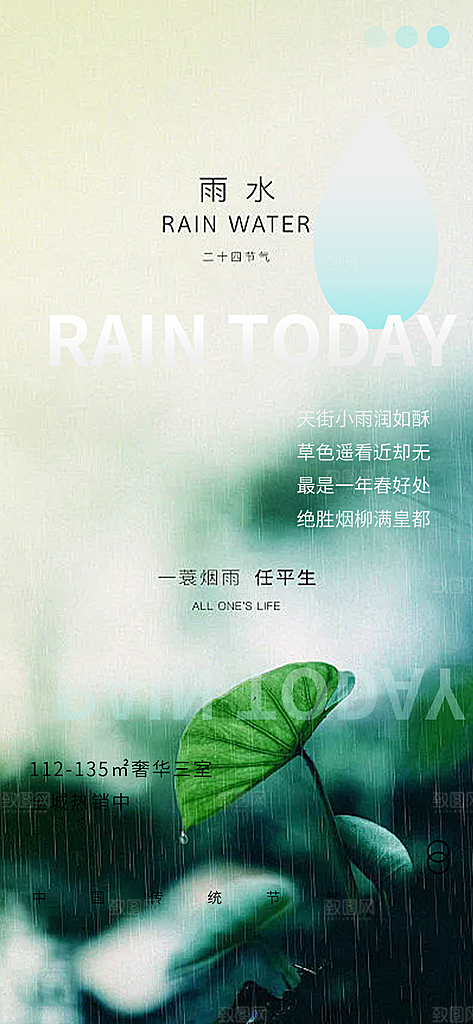 大气传统雨水二十四节气海报