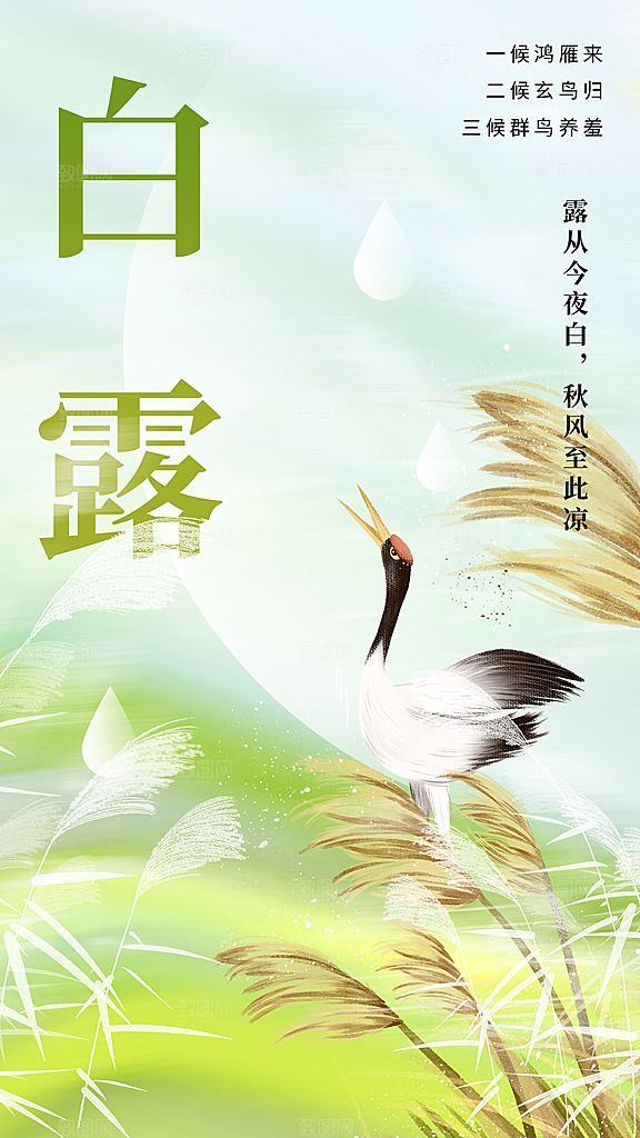 白露节气传统海报